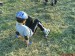 DSC00925.JPG